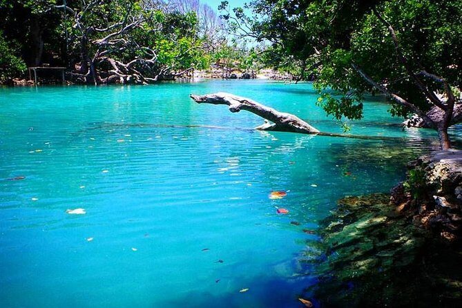 Cultural Experience & Blue Lagoon with Yumi Tours