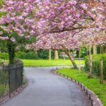 Cupids Trail: Romantic Puzzle Quest in Dublin - Practical Considerations
