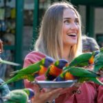 Currumbin Wildlife Sanctuary Entry Ticket - An In-Depth Look at Currumbin Wildlife Sanctuary