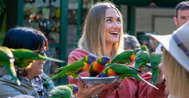 Currumbin Wildlife Sanctuary Entry Ticket - An In-Depth Look at Currumbin Wildlife Sanctuary