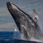 Custom Private Adventure - In-Depth Look at the Experience