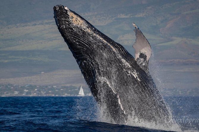 Custom Private Adventure - In-Depth Look at the Experience