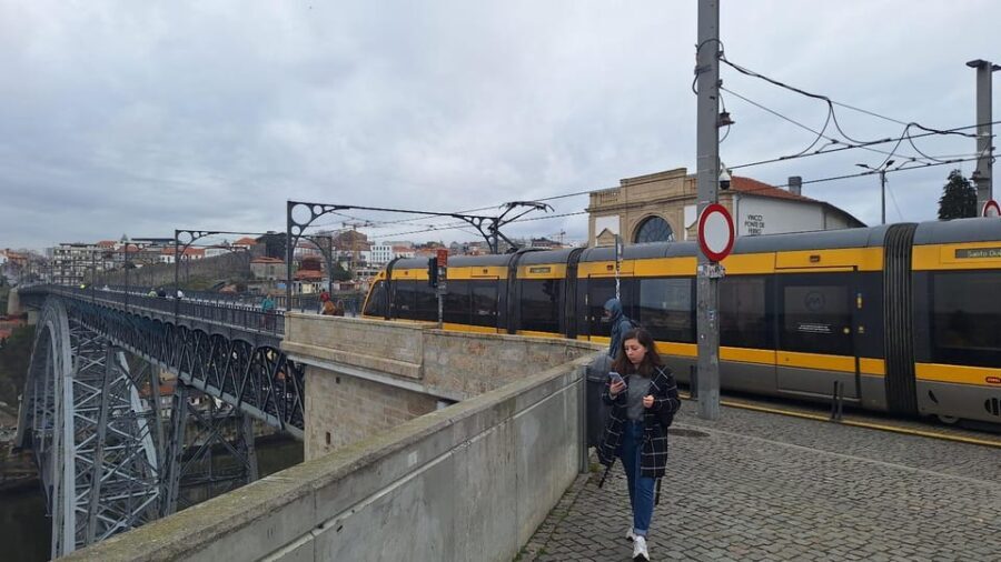 Customizable Full Day Porto Tour: Choose Your Experience - The Heart of Porto: An In-Depth Look at the Tour