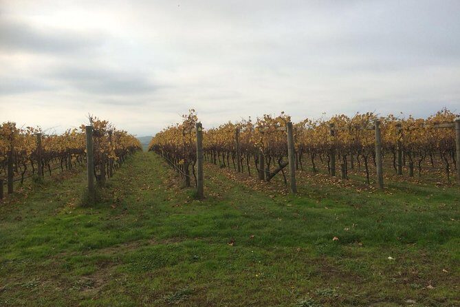 Customized private winery day tour in Mornington Peninsula at your own choices - Who Should Consider This Tour?