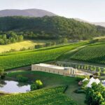 Customized private winery day tour in Yarra Valley at your own choices - Authentic Encounters and Expert Guides