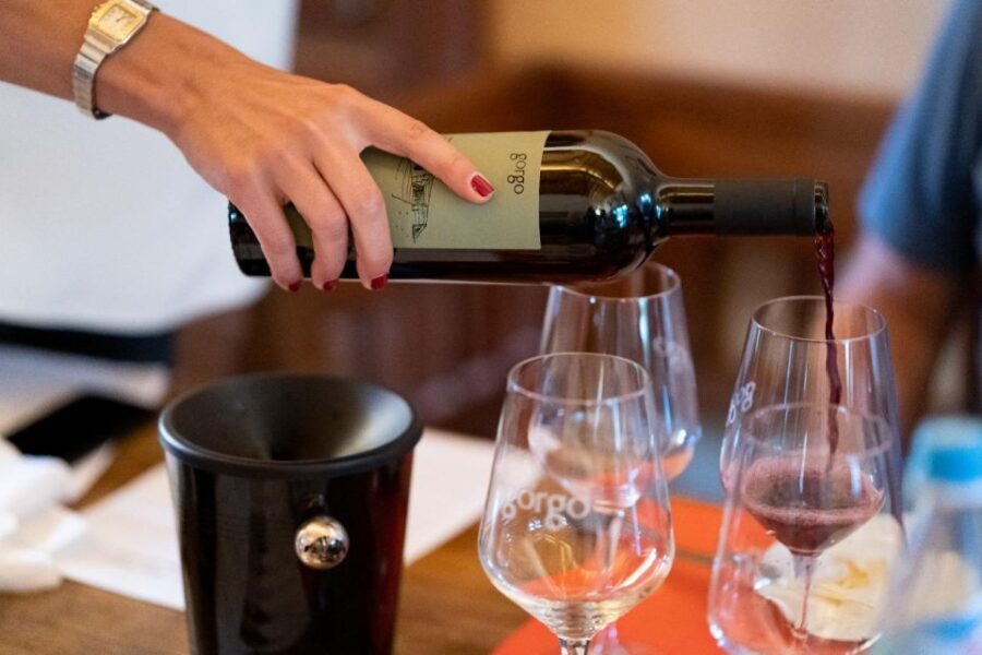 Custoza: Organic Wine Tasting with Vineyard and Cellar Tour - Practical Details and Considerations