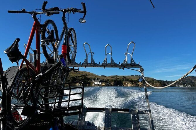 Cycle Ferry, Dunedin Harbour Cycle Trail - FAQ