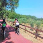 Cycling Ecopista do Dão One Way, full-day from Coimbra - The Value of This Cycling Experience