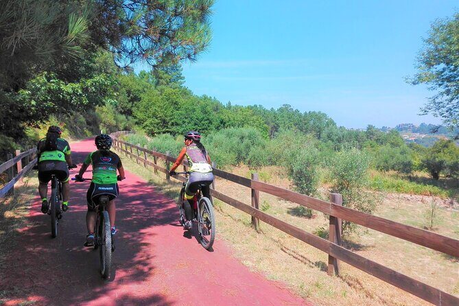 Cycling Ecopista do Dão One Way, full-day from Coimbra - The Value of This Cycling Experience