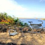 Cycling Westport & the Great Western green way. Mayo. Self-guided - Who Will Love This Experience?