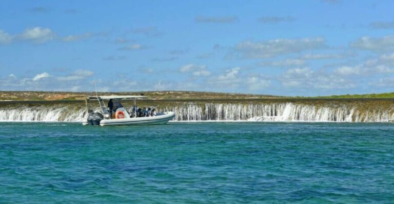 Cygnet Bay Unique Tidal Waterfall Reefs Scenic Cruise - Why Travelers Love This Tour