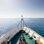 Cyprus: Odyssey Boat Safari from Larnaca to Protaras - Why This Tour Offers Good Value