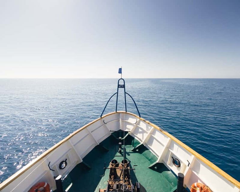 Cyprus: Odyssey Boat Safari from Larnaca to Protaras - Why This Tour Offers Good Value