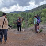 Cyprus: Troodos & Geopark or Pafos Forest & Villages Tour - Why This Tour Offers Great Value