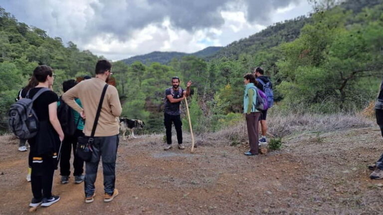 Cyprus: Troodos & Geopark or Pafos Forest & Villages Tour - Why This Tour Offers Great Value