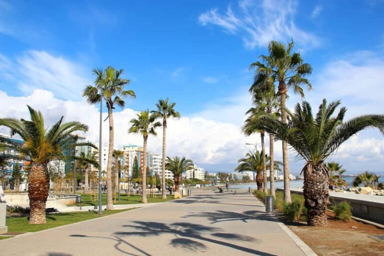 Cypruss History and Charm: Full-DayPrivate Tour from Paphos - Why This Tour Offers Good Value