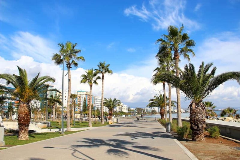 Cypruss History and Charm: Full-DayPrivate Tour from Paphos - Why This Tour Offers Good Value