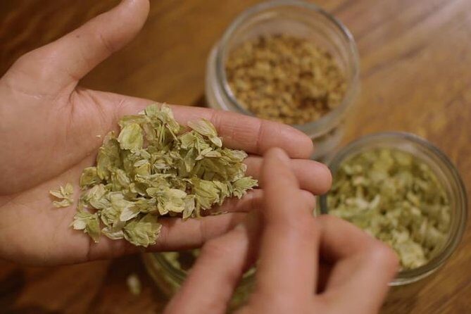 Czech Beer Tasting Experience - FAQ