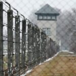 Dachau Concentration Camp Private Tour - Final Thoughts: Who Should Consider This Tour?