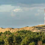 Dagebüll: Daytrip by boat to Amrum - The Sum Up