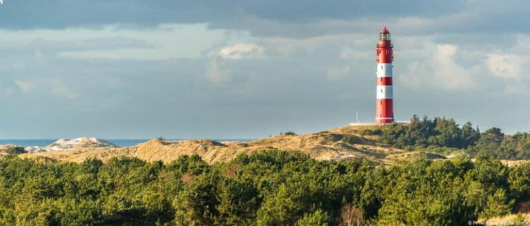 Dagebüll: Daytrip by boat to Amrum - The Sum Up