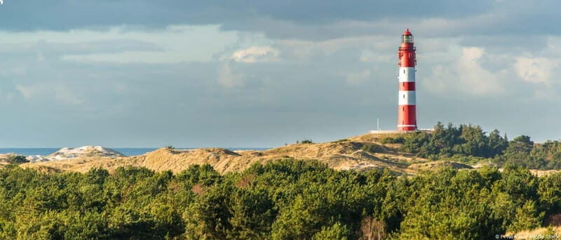 Dagebüll: Daytrip by boat to Amrum - The Sum Up