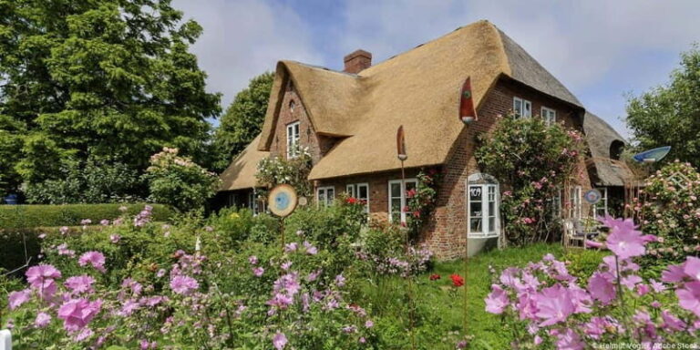 Dagebüll: Daytrip by boat to Föhr - Who is This Tour Best For?