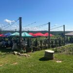Dahlonega Wine & Dine Private Tour from Atlanta - The Sum Up