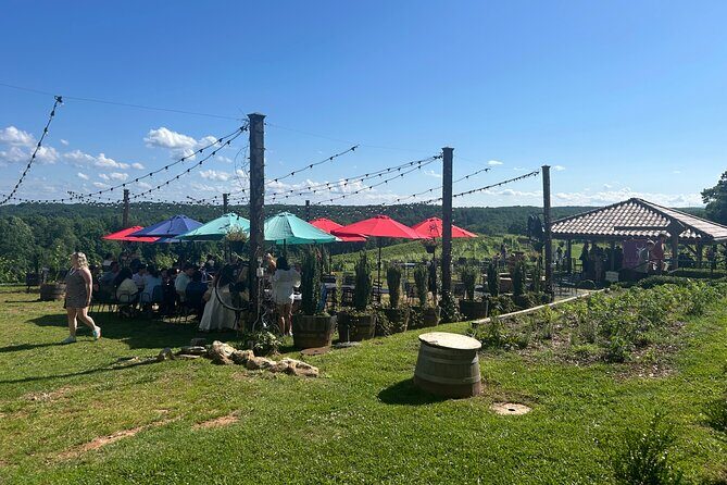 Dahlonega Wine & Dine Private Tour from Atlanta - The Sum Up