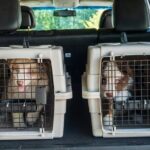 Daily Morning Airport Shuttles To Chicago's O'Hare International Airport - Frequently Asked Questions