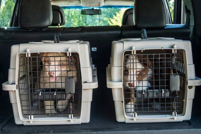 Daily Morning Airport Shuttles To Chicago's O'Hare International Airport - Frequently Asked Questions