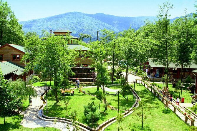 Daily Sapanca & Maukiye & Mahmudiye Tour with Lunch from Istanbul - Who Is This Tour For?