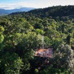 Daintree Discovery Centre Family Pass Ticket - The Highlights of Your Visit