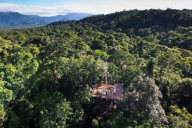 Daintree Discovery Centre Family Pass Ticket - The Highlights of Your Visit
