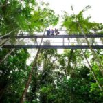 Daintree Discovery Centre Single Pass - Authentic Traveler Insights