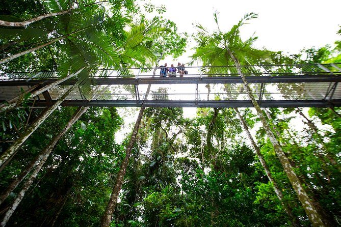 Daintree Discovery Centre Single Pass - Authentic Traveler Insights