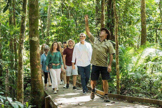 Daintree Rainforest and Cape Tribulation Full Day Tour - Exploring the Daintree Rainforest and Cape Tribulation: A Deep Dive