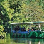 Daintree River Rainforest: Crocodile & Wildlife Cruises (DG) - The Sum Up