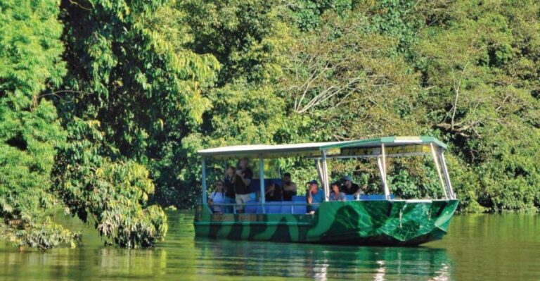 Daintree River Rainforest: Crocodile & Wildlife Cruises (DG) - The Sum Up