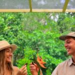 Daintree Sensations - A Deep Dive into the Daintree Sensations Tour