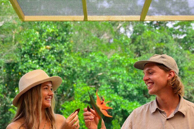 Daintree Sensations - A Deep Dive into the Daintree Sensations Tour