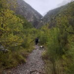 Dajti Cable Car and Shengjergj Waterfall Tour with Lunch - Authentic Insights from Travelers