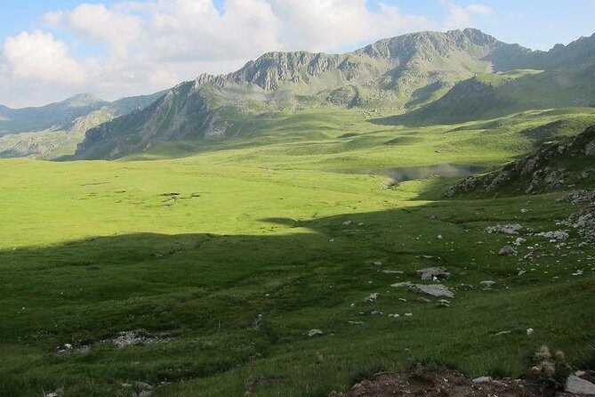 Dajti Mountain Downhill Bike Tour - Authentic Experiences and Real Feedback