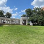 Dallas in Wonderland: A Self-Guided Walking Tour of Dallas - Who This Tour Is Best For