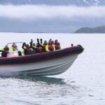 Dalvík: Whale Watching Speedboat Tour - Considerations and Practical Tips