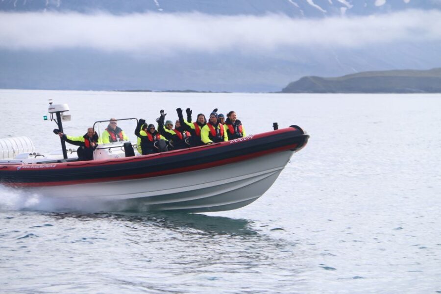 Dalvík: Whale Watching Speedboat Tour - Considerations and Practical Tips