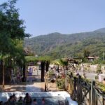 Dalyan Mud Bath and Turtle Beach from Sarigerme - A Deep Dive into the Dalyan Tour Experience