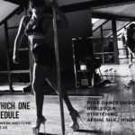 Dance Class (choose 1: Pole Dance, Burlesque or Aerial Silk/Hoop) - Who Will Enjoy This Experience?