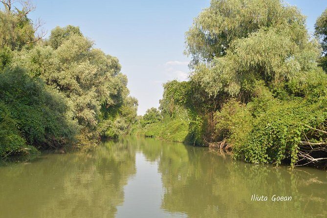 Danube Delta PRIVATE boat trip to Mila23 Village (guided tour) - Experience the Danube Delta on a Private Guided Boat Trip to Mila 23