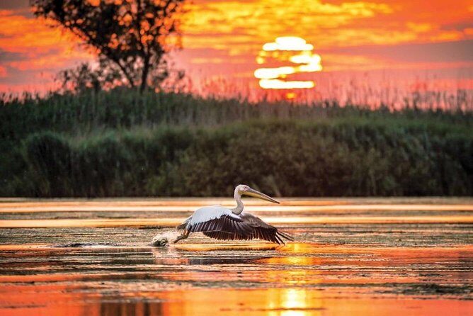 Danube Delta Private Tour from Bucharest - 2 Days tour - Who Will Love This Tour?